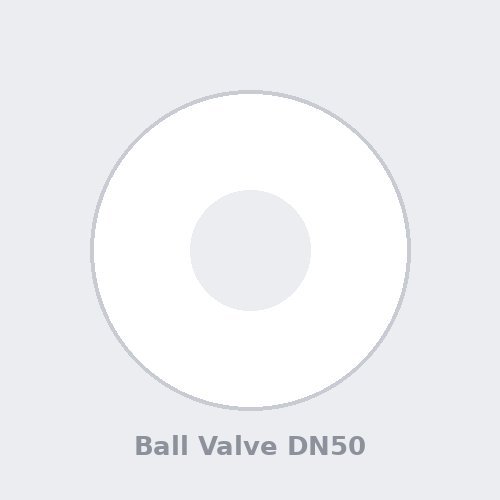 Stainless Steel Ball Valve DN50 PN16