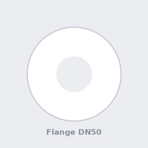 Stainless Steel Flange DN50 PN16
