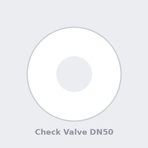 Check Valve DN50